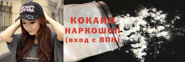 ешки Бронницы