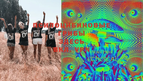 ПСИЛОЦИБИНОВЫЕ ГРИБЫ Надым