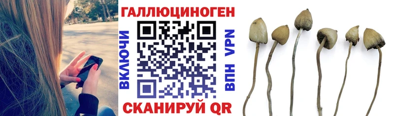 где купить   Вязьма  Галлюциногенные грибы ЛСД 